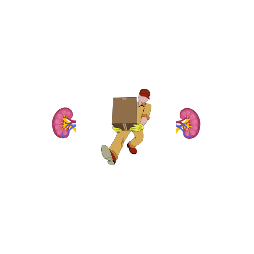 Dialysis Box Collectors